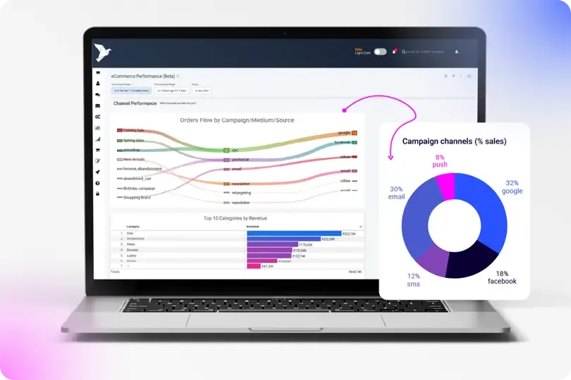 Analytics dashboard view showing campaign flow and sales channel breakdown