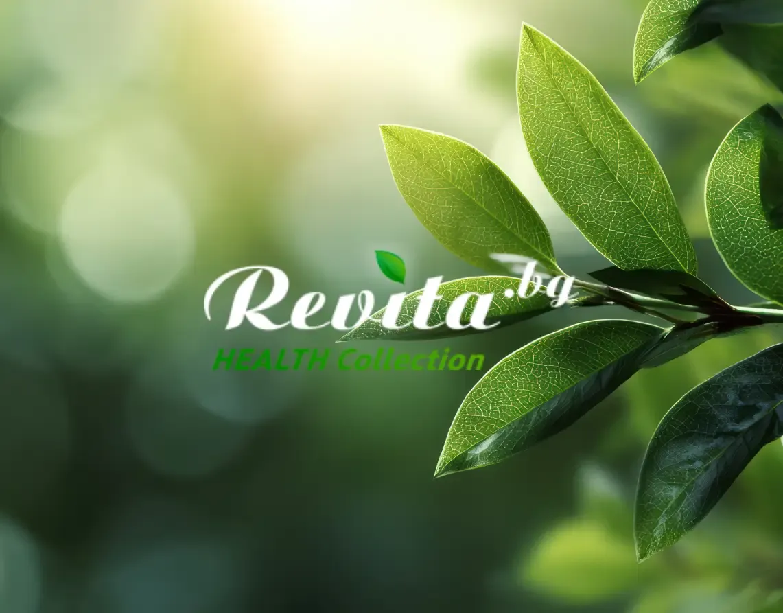 Revita case study cover